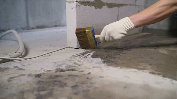 SJ Waterproofing Pros Crawl Space Encapsulation coverage map for Bear Creek, AL and surrounding area